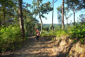 BIB: 
                            <button type="button" onclick="openModal(19342293)" class="btn btn-primary btn-sm float-right btn-popup" data-toggle="modal" data-target=".modal-high-quality">
                        <i class="fas fa-shopping-cart"></i> Add to Cart
                    </button>
                                            <button type="button" onclick="isThisMe(19342293, true)" class="btn btn-success btn-sm float-right btn-popup btn-isme hidden" data-toggle="tooltip" data-placement="bottom" title="นี่คือรูปของคุณใช่ไหม คลิกที่นี่เพื่อเอาเข้าอัลบั้ม">
                        <i class="fas fa-plus"></i> Add to album
                    </button>
                    <button type="button" onclick="isThisMe(19342293, false)" class="btn btn-warning btn-sm float-right btn-popup btn-isnotme hidden">
                        <i class="fas fa-ban"></i> Remove from album
                    </button>